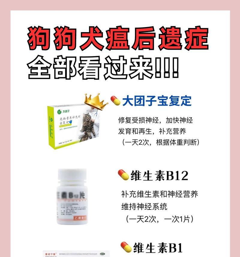 犬瘟药物治疗的有效方法（探索狗病毒感染的治疗手段，让你的爱宠重获健康）(图2)