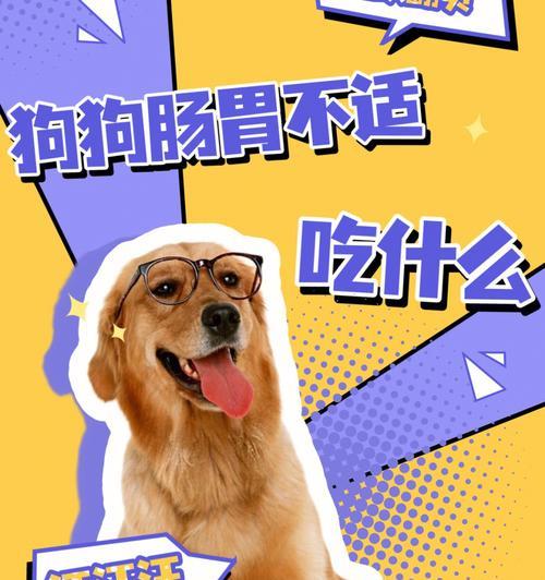 小狗消化吸收的关键饮食(以小狗吃什么可以帮助消化吸收)(图2) 小狗消化吸收的关键饮食(以小狗吃什么可以帮助消化吸收)(图2)