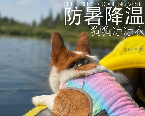 狗狗中暑发烧急需打针，保护它的健康！（了解狗狗中暑发烧的原因和应对措施，即刻行动！）(图2)