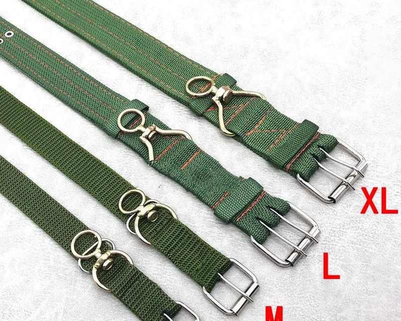 选择舒适狗项圈的全面指南，确保宠物安全与健康(图3)