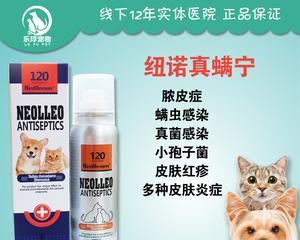 狗狗湿性皮炎治疗指南：药物选择和护理要点 - 悠悠酷狗网