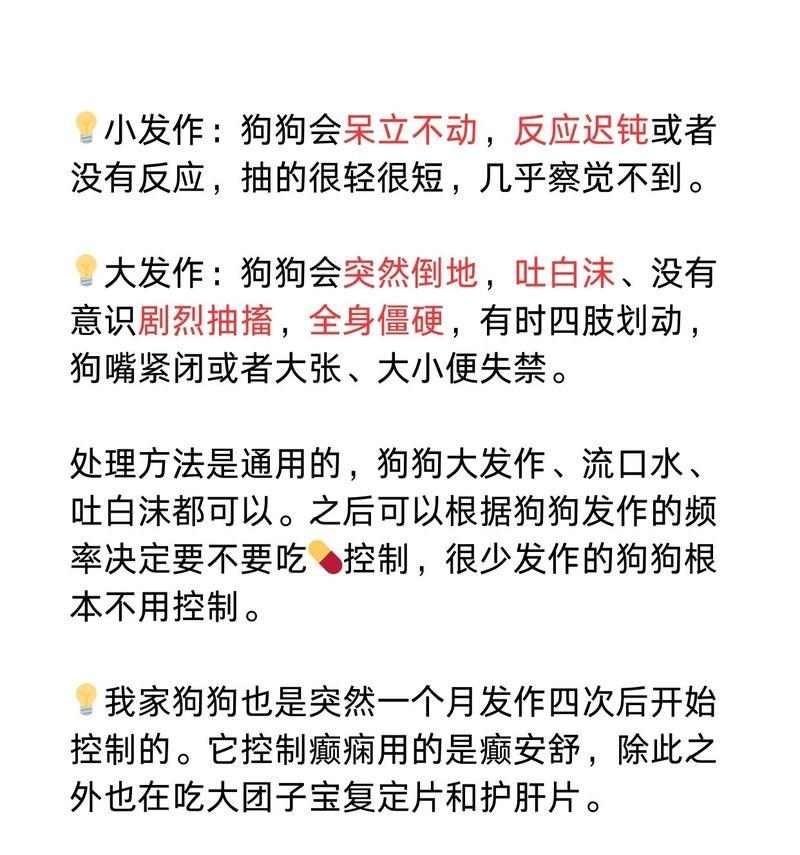 小狗频繁呕吐原因及多角度解决方案详解(图2)