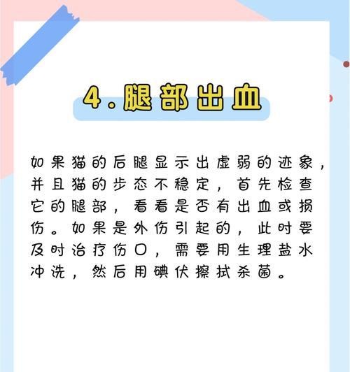 猫咪走路不稳的原因及改善方法分析(图1)