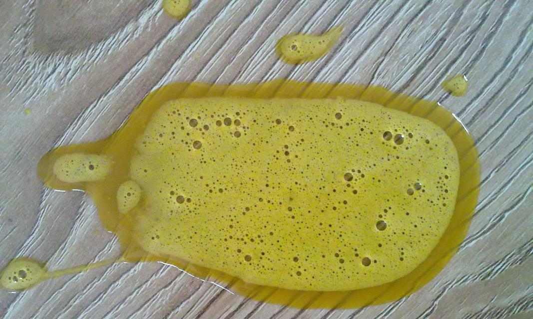 小狗频繁呕吐原因及多角度解决方案详解(图3)