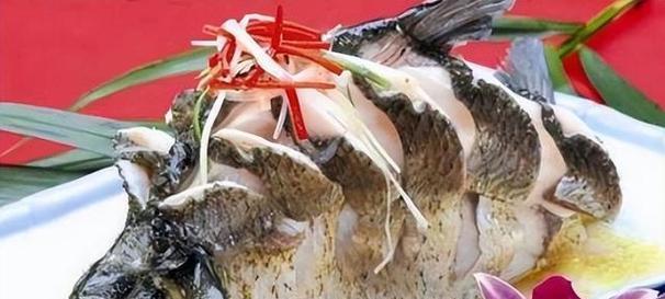 鱼类多样食物选择与饮食习惯解析(图1)