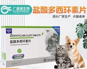 小猫感冒了吃什么药好?(有效的药物治疗小猫感冒的关键)(图3) 小猫感冒了吃什么药好?(有效的药物治疗小猫感冒的关键)(图3)