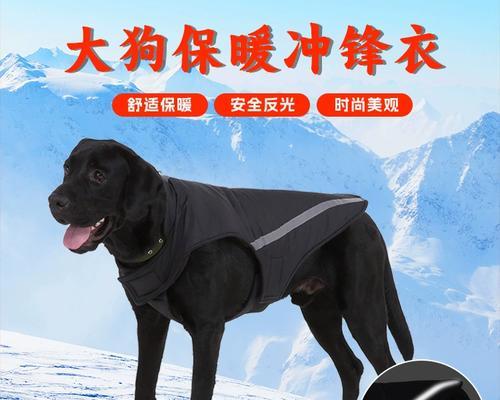 金毛狗何时掉毛?(了解金毛狗的掉毛周期及原因)(图3) 金毛狗何时掉毛?(了解金毛狗的掉毛周期及原因)(图3)