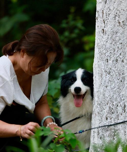 成都犬舍（探索成都犬舍的多样魅力，让你爱上这座城市）(图2)