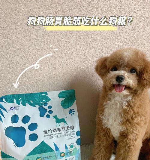 狗狗出生后如何正确选择和喂养奶粉保障健康 - 悠悠酷狗网