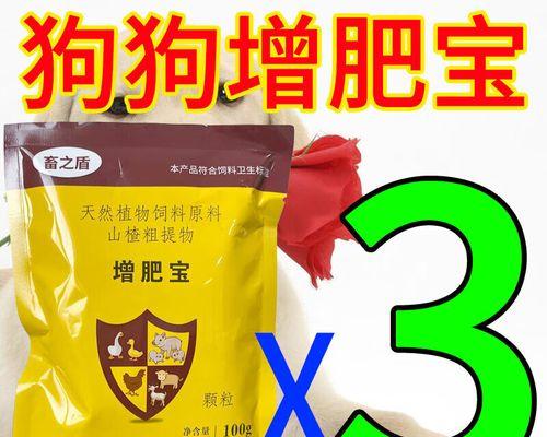 科学选购狗粮助力控制犬只体重，保持健康 - 悠悠酷狗网