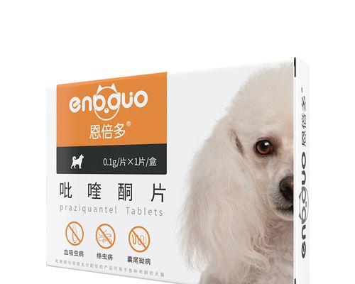 犬只抖身原因与药物治疗方案全面指南(图1)