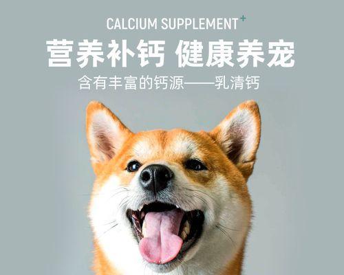 小狗狗补钙吃什么最好（营养丰富的食物是宝贝犬成长的关键）(图1)