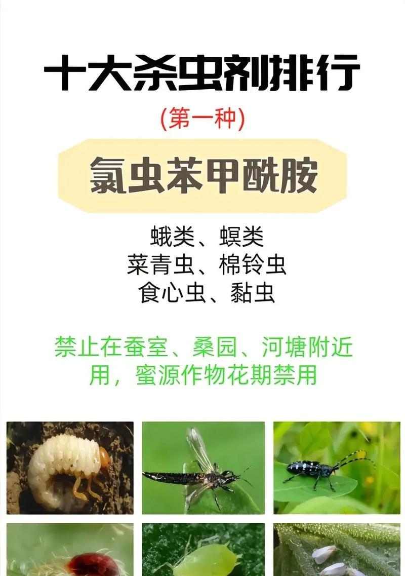 人体寄生虫问题的解决办法（药物治疗是最有效的选择）(图2)