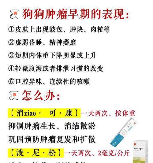 狗狗肿瘤破了该抹什么药？（探索有效的肿瘤抹药方法，关注狗狗健康）(图2)