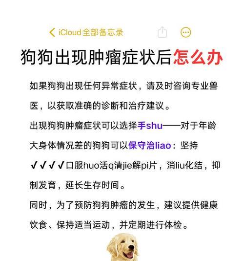 狗狗肿瘤破了该抹什么药？（探索有效的肿瘤抹药方法，关注狗狗健康）(图3)