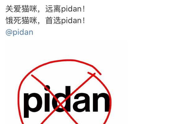 猫咪突然断粮，你应该准备什么？（为了宠物的健康和安全，应急备齐这些关键物品！）(图2)