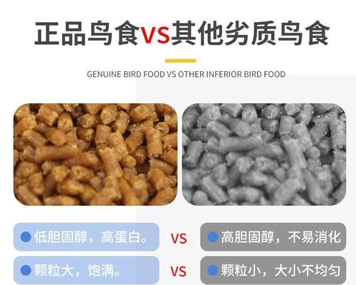 画眉鸟的主要食物及其重要性（揭秘画眉鸟的食物偏好和饮食习惯）(图3)