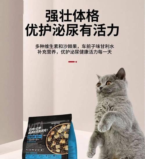 猫咪突然断粮，你应该准备什么？（为了宠物的健康和安全，应急备齐这些关键物品！）(图3)