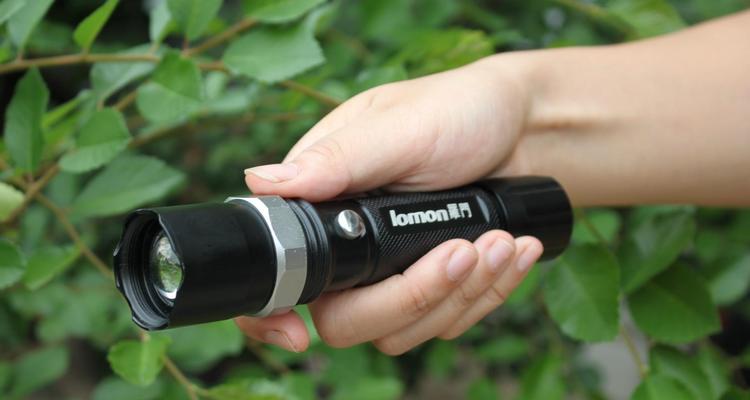 探寻耳朵是否藏有虫子的秘密(解析虫子入侵耳朵的症状、治疗方法和预防措施)(图1) 探寻耳朵是否藏有虫子的秘密(解析虫子入侵耳朵的症状、治疗方法和预防措施)(图1)