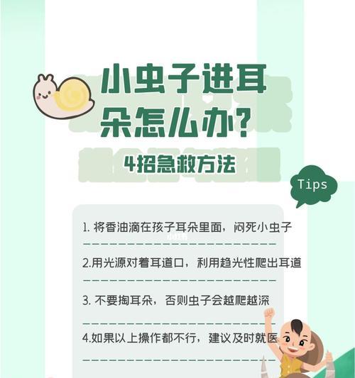 探寻耳朵是否藏有虫子的秘密(解析虫子入侵耳朵的症状、治疗方法和预防措施)(图3) 探寻耳朵是否藏有虫子的秘密(解析虫子入侵耳朵的症状、治疗方法和预防措施)(图3)
