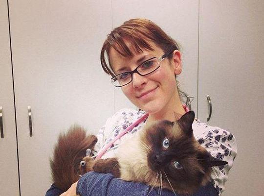 选择以喜欢宠物为主题的工作机会（发展激情并与动物共享的梦想）(图1)