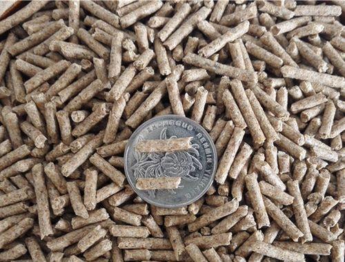 荷兰猪抽筋（了解荷兰猪抽筋的症状，预防和治疗方法）(图1)