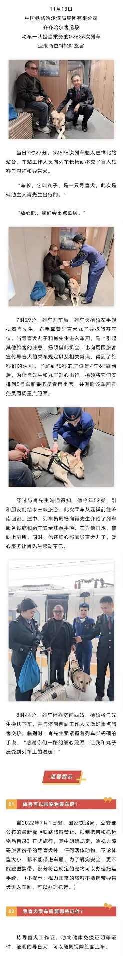 如何带狗狗乘坐火车（火车旅行必备指南，让您的狗狗安心快乐出行） - 悠悠酷狗网