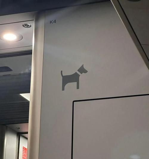 如何带狗狗乘坐火车（火车旅行必备指南，让您的狗狗安心快乐出行）(图2)