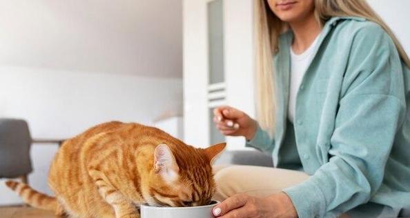 猫咪的日常饮食需求（全面了解猫咪的饮食习惯与需求，打造健康的餐桌）(图3)