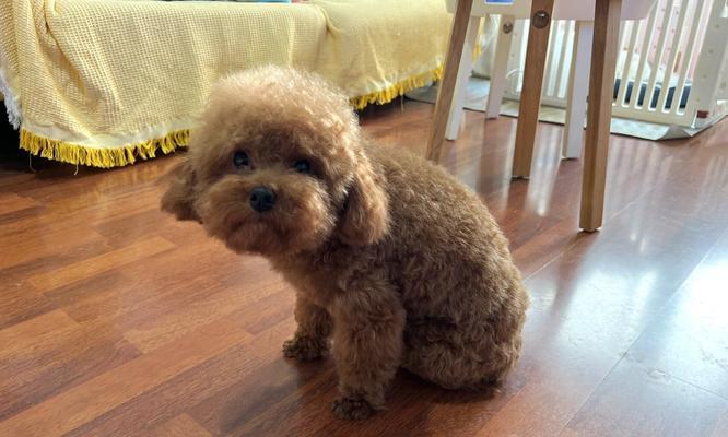 以太迪——探索25体的奥秘(揭秘25体身高之谜,探索人类生长的奇迹)(图1) 以太迪——探索25体的奥秘(揭秘25体身高之谜,探索人类生长的奇迹)(图1)