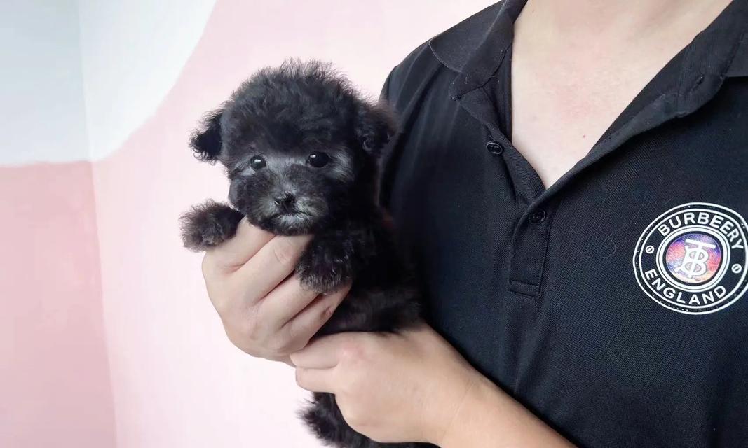 以太迪——探索25体的奥秘(揭秘25体身高之谜,探索人类生长的奇迹)(图2) 以太迪——探索25体的奥秘(揭秘25体身高之谜,探索人类生长的奇迹)(图2)