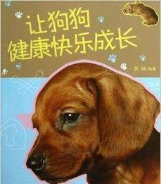 狗狗最佳生产时间与护理指南，确保母犬健康安全(图3)