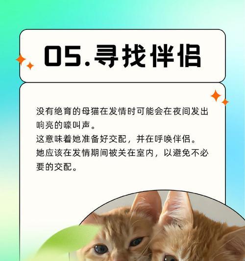 猫咪不停叫的原因及解读方法，了解猫的叫声奥秘(图3)