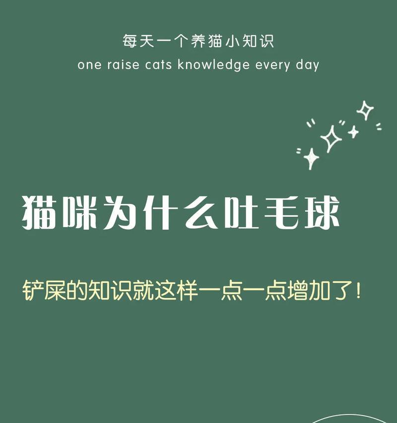猫咪不停叫的原因及解读方法，了解猫的叫声奥秘 - 悠悠酷狗网