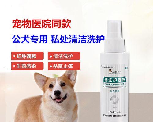 可爱勇敢的宠物狗狗鸡鸡带来无限温暖与快乐 - 悠悠酷狗网