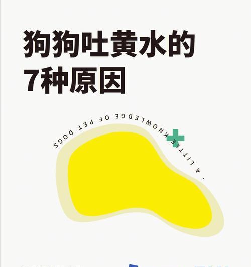小狗不能吃的15种食物及危害，宠物护理必备指南(图1)