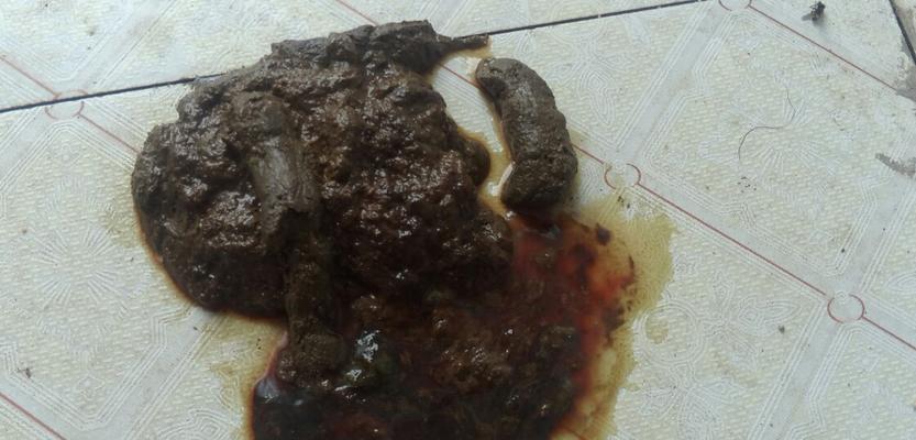 小狗不能吃的15种食物及危害，宠物护理必备指南(图2)