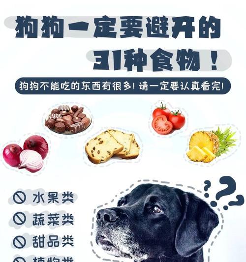 小狗不能吃的15种食物及危害，宠物护理必备指南(图3)