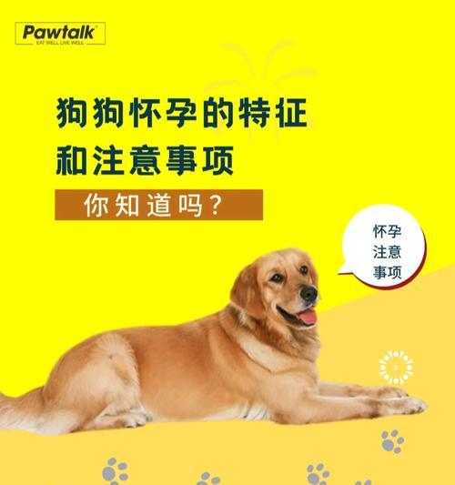 购买宠物狗的注意事项（了解宠物狗的需求，选择合适的品种）(图1)