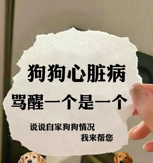 小狗喘气声音的原因（探究小狗喘气声音背后的原因和可能的健康问题）(图3)