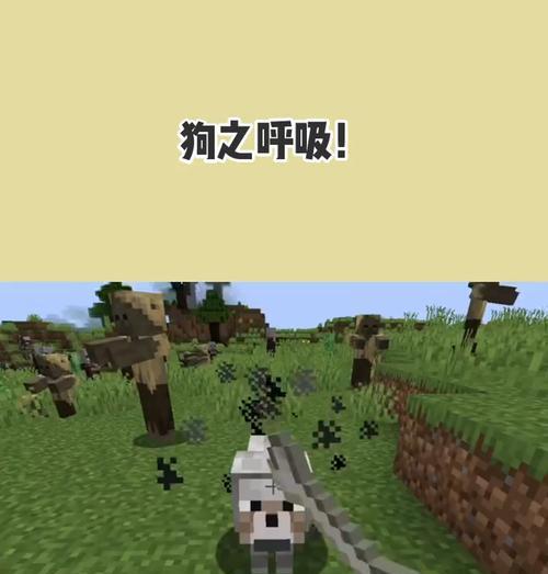 小狗喘气声音的原因（探究小狗喘气声音背后的原因和可能的健康问题） - 悠悠酷狗网