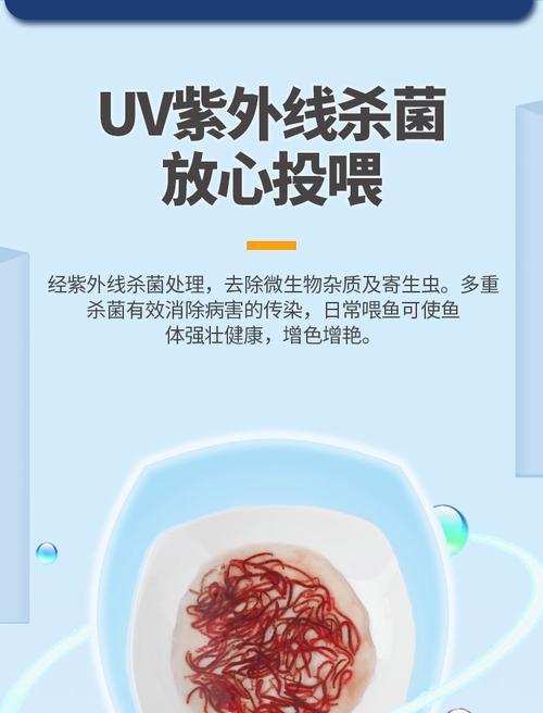 科学喂食时间（探索合适的喂食时间以促进鱼类生长和健康）(图2)