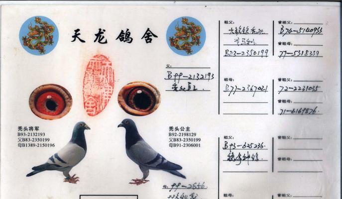 黄金血统的意义与特征（探索血统中的珍贵财富）(图2)