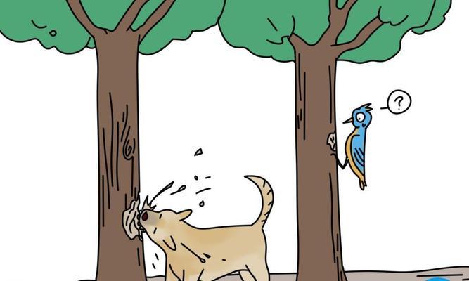 了解狗狗咬自己行为原因与有效应对策略(图3) 了解狗狗咬自己行为原因与有效应对策略(图3)