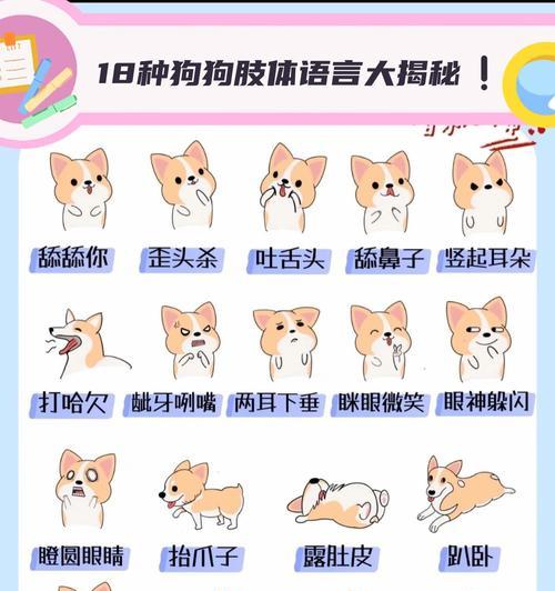 狗眼神中的真诚与温暖深情展现宠物的情感连接(图3) 狗眼神中的真诚与温暖深情展现宠物的情感连接(图3)