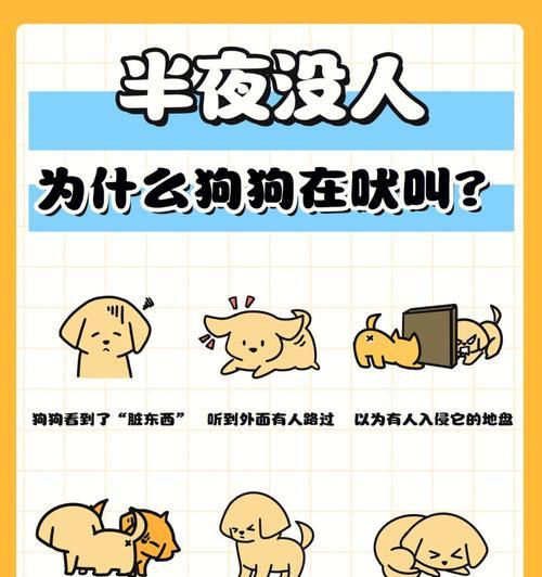 狗半夜离家原因及解决方法详解|助你安抚宠物(图3) 狗半夜离家原因及解决方法详解|助你安抚宠物(图3)
