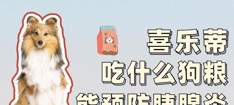 狗粮的重要性与多方面益处全面解析(图2) 狗粮的重要性与多方面益处全面解析(图2)