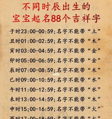 养狗最佳时机指南：不同阶段的照护要点解析 - 悠悠酷狗网