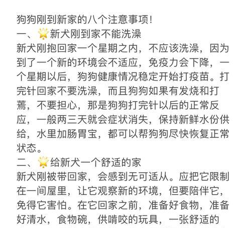 狗狗发烧应对指南：预防护理和快速康复措施(图2)