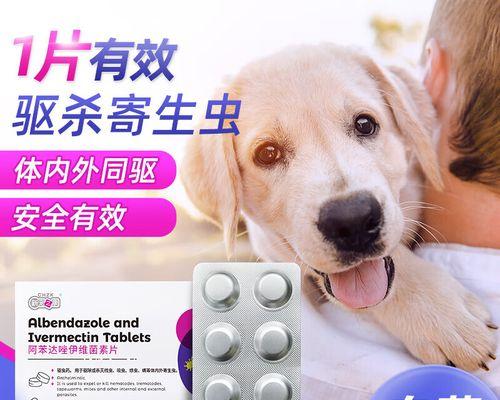 一月龄幼犬驱虫全攻略|正确方法助健康成长(图2)